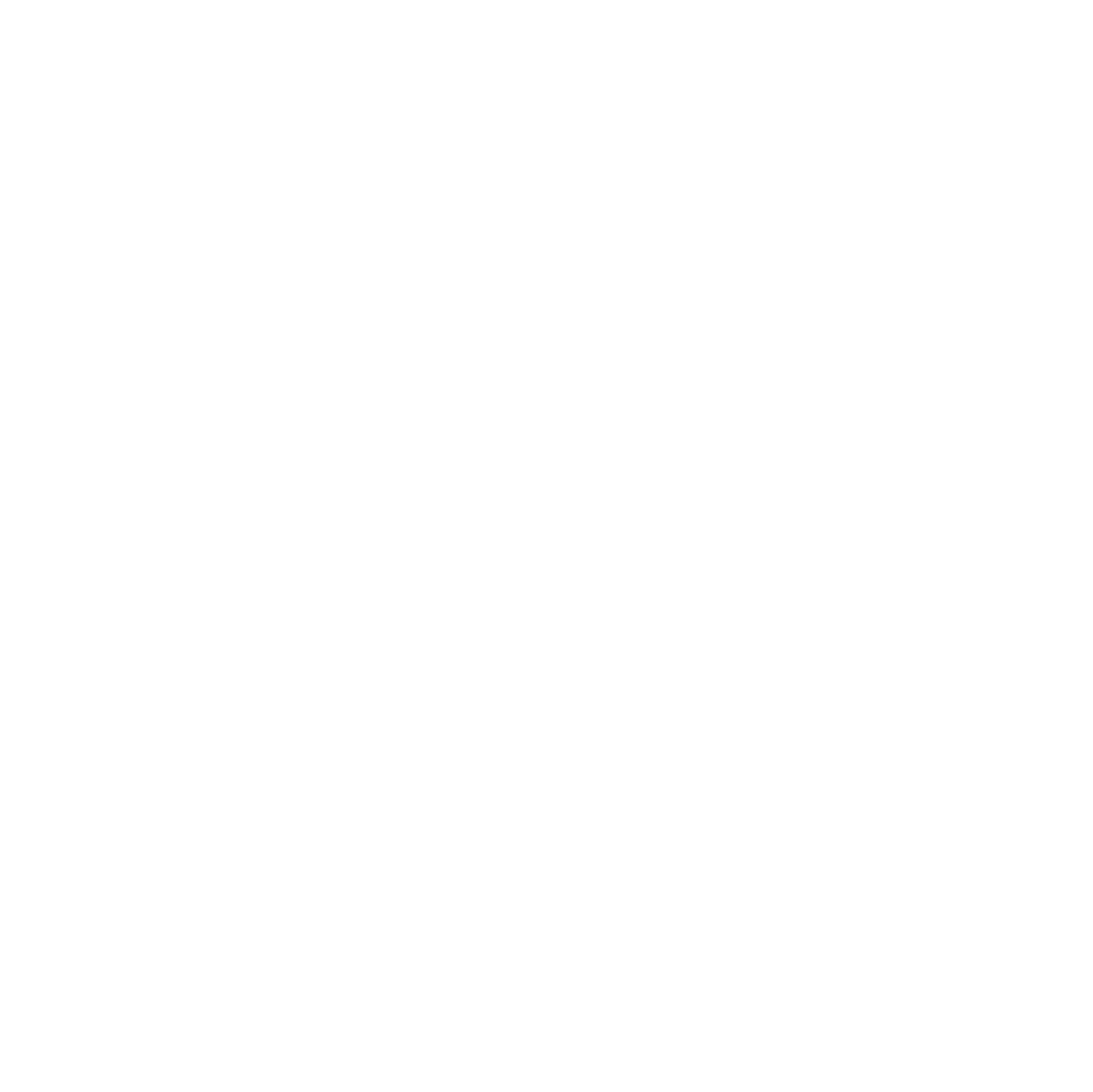 Essential Workers for Democracy